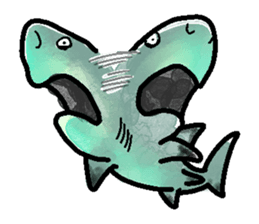 World of shark sticker #984073
