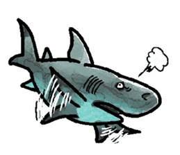 World of shark sticker #984074