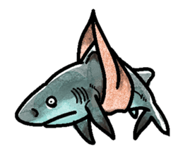 World of shark sticker #984075