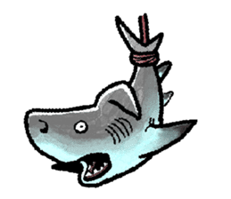 World of shark sticker #984076