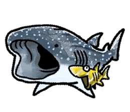 World of shark sticker #984077