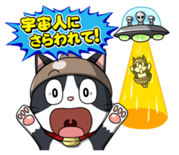 Earthenware Cat Pot"DONYABEE"ver.3 sticker #984973