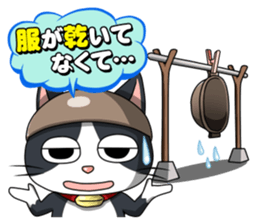 Earthenware Cat Pot"DONYABEE"ver.3 sticker #984981