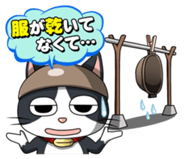 Earthenware Cat Pot"DONYABEE"ver.3 sticker #984981