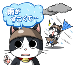 Earthenware Cat Pot"DONYABEE"ver.3 sticker #984992