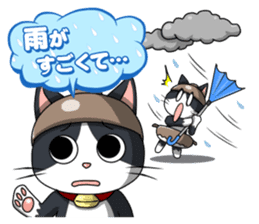 Earthenware Cat Pot"DONYABEE"ver.3 sticker #984992