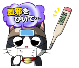 Earthenware Cat Pot"DONYABEE"ver.3 sticker #984993