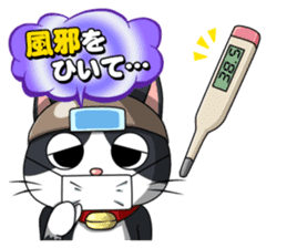 Earthenware Cat Pot"DONYABEE"ver.3 sticker #984993