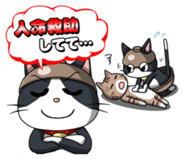 Earthenware Cat Pot"DONYABEE"ver.3 sticker #984997