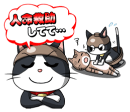 Earthenware Cat Pot"DONYABEE"ver.3 sticker #984997