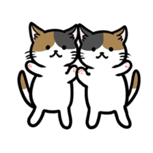 twins cats sticker #985042