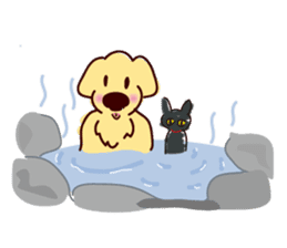 Golden dog and Black cat sticker #985648
