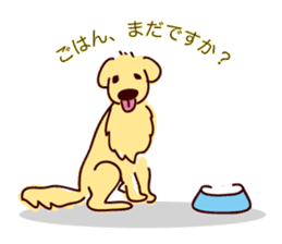 Golden dog and Black cat sticker #985662