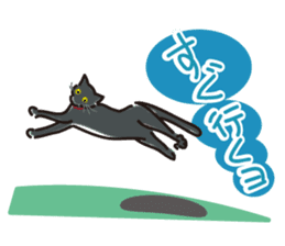 Golden dog and Black cat sticker #985676