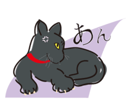 Golden dog and Black cat sticker #985679