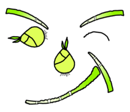 Frumals Friends #English sticker #986303