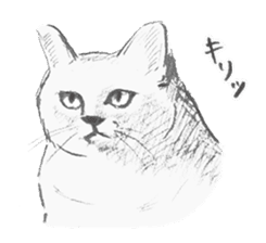 necomarutaro sticker #987166