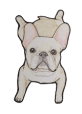 French bulldog Sticker 2 sticker #987568