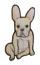French bulldog Sticker 2 sticker #987570