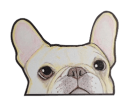 French bulldog Sticker 2 sticker #987573
