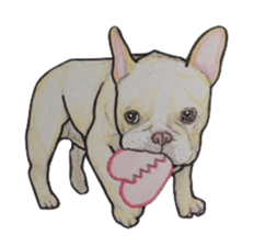 French bulldog Sticker 2 sticker #987576