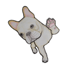 French bulldog Sticker 2 sticker #987579