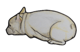 French bulldog Sticker 2 sticker #987582
