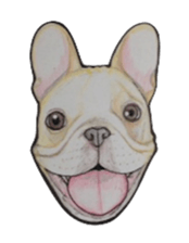 French bulldog Sticker 2 sticker #987587