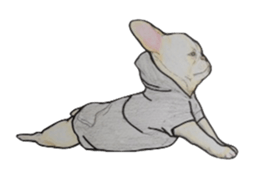 French bulldog Sticker 2 sticker #987588