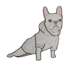 French bulldog Sticker 2 sticker #987589