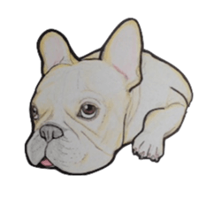 French bulldog Sticker 2 sticker #987592