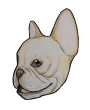 French bulldog Sticker 2 sticker #987593