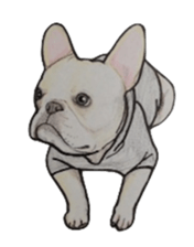 French bulldog Sticker 2 sticker #987598