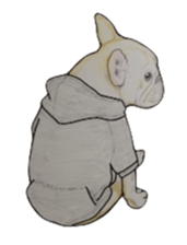 French bulldog Sticker 2 sticker #987600