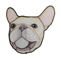 French bulldog Sticker 2 sticker #987603