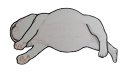 French bulldog Sticker 2 sticker #987605