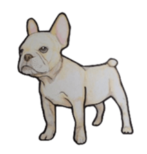 French bulldog Sticker 2 sticker #987606