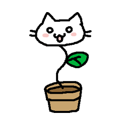 cat grass