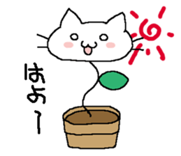 akaza
