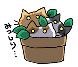 cat grass sticker #987676