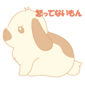 Lop eared rabbit sticker #987871