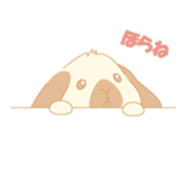 Lop eared rabbit sticker #987875