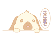 Lop eared rabbit sticker #987878