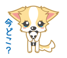 Cute Chihuahua Sticker sticker #988454