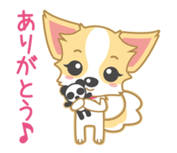 Cute Chihuahua Sticker sticker #988456