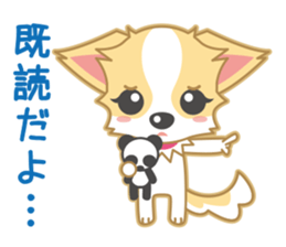 Cute Chihuahua Sticker sticker #988463
