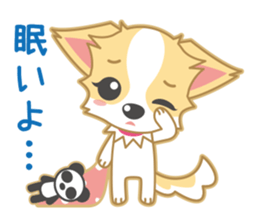 Cute Chihuahua Sticker sticker #988465