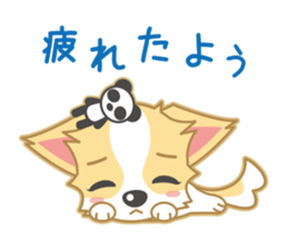 Cute Chihuahua Sticker sticker #988467