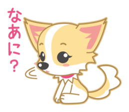 Cute Chihuahua Sticker sticker #988470