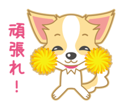 Cute Chihuahua Sticker sticker #988475